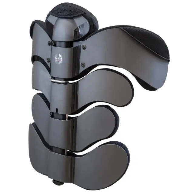 Tarta EMYS Back Support