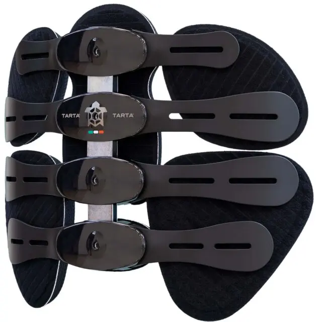 Tarta Original Back Support