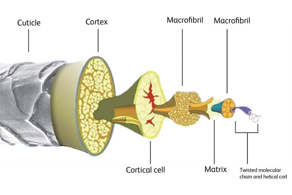 Pressure care wool structures illustration