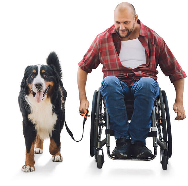 man in wheelchair walkin dog